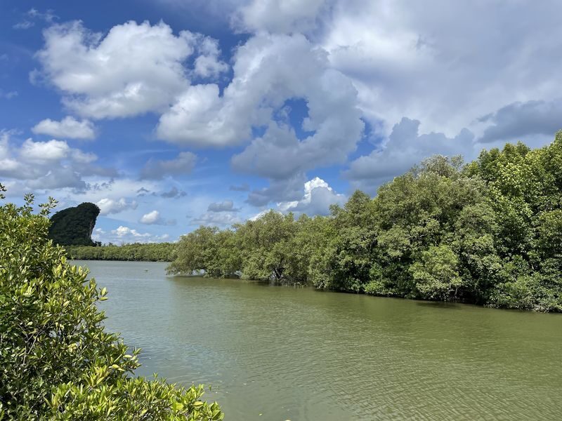 The Mangrove Boat Tour in Krabi - Koh Klang: Fishing Life, Rice Fields and Water Buffalo