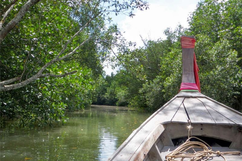 The Mangrove Boat Tour in Krabi - What the Three-Hour Schedule Feels Like