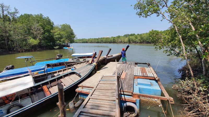 The Mangrove Boat Tour in Krabi - Who Will Enjoy This Tour Most
