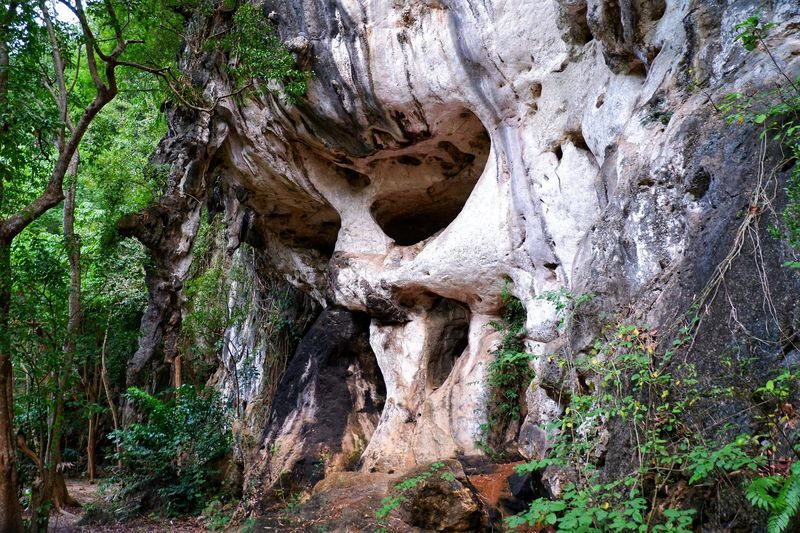 The Mangrove Boat Tour in Krabi - Should You Book the Mangrove Boat Tour?