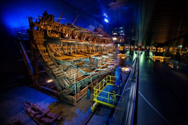 The Mary Rose: Day Admission Ticket - Experience