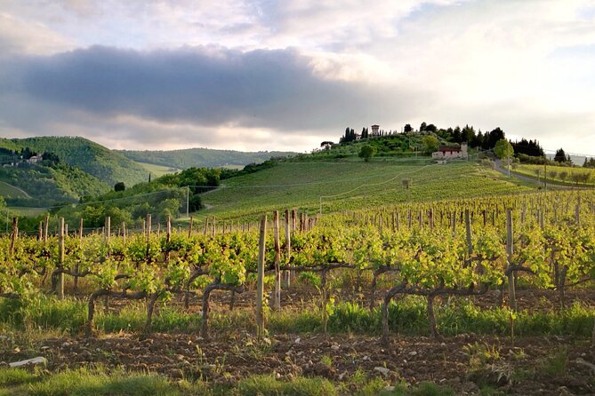 THE MASTER of Chianti Classico 4 Top Wineries Limo Service New!! - Exclusive Limo Service Experience