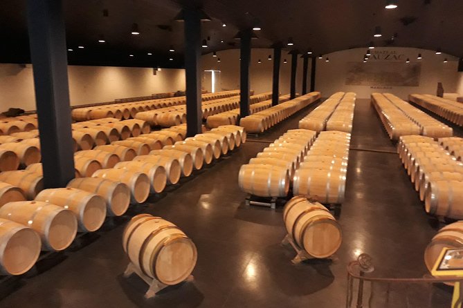 The Médoc in a Sidecar, Magic! - Exploring Médocs Vineyards in Style