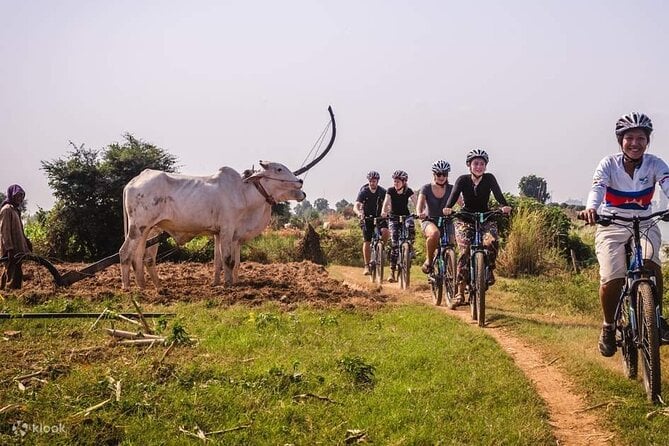 The Mekong Island Biking Tour and Lunch With Farmers - Accessibility and Recommendations