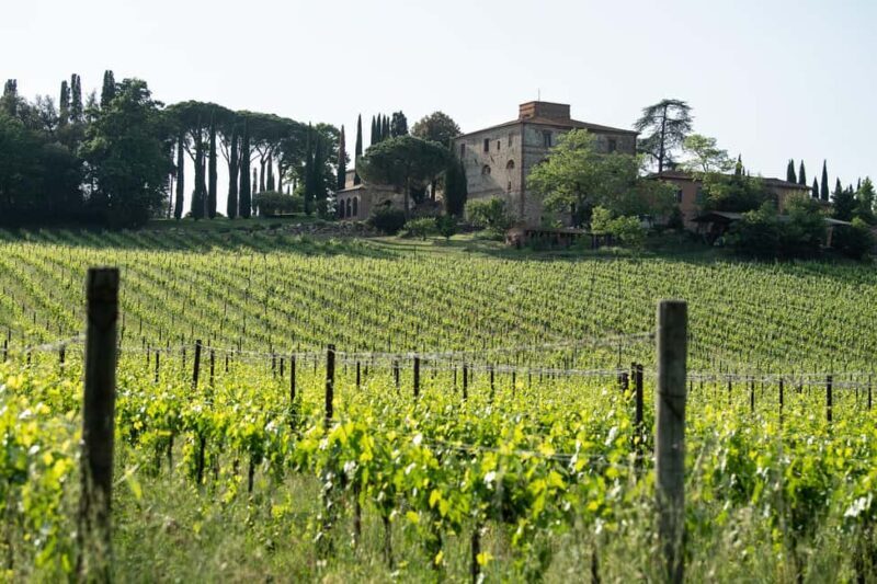 The Memories of the Count - AGED AND SUPERTUSCAN WINE TASTING - Final Thoughts: Who Will Love This Tour?