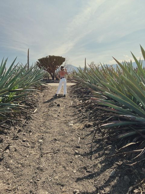 The Mezcal Journey - Booking Details and Inclusions