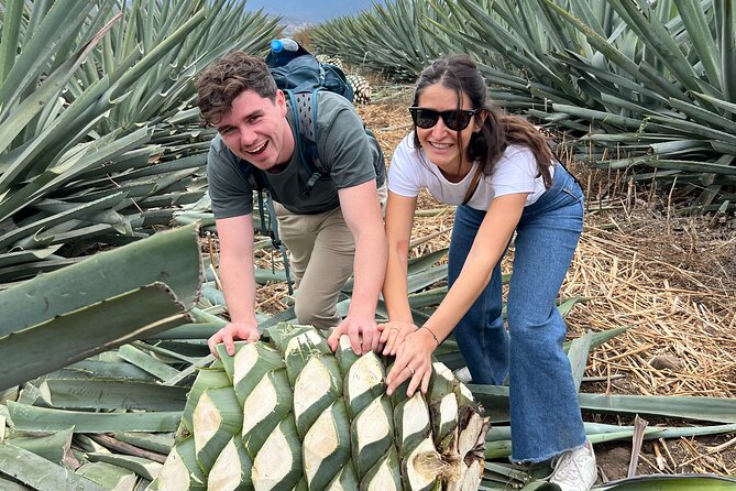The Mezcal Journey - Mezcal Tasting and Experience
