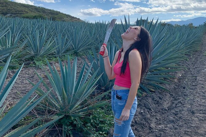 The Mezcal Journey - Tour Highlights and Recommendations