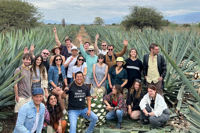The Mezcal Journey - The Sum Up