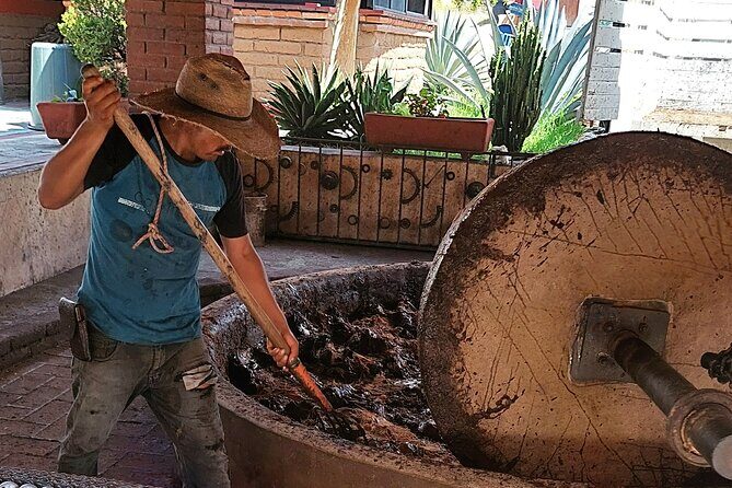 The Mezcal Tour - Good To Know