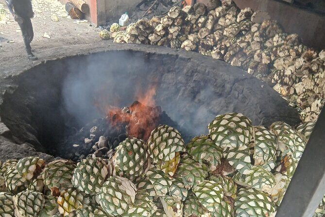 The Mezcal Tour - The Sum Up