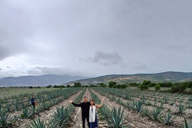 The Mezcal Tour - FAQs