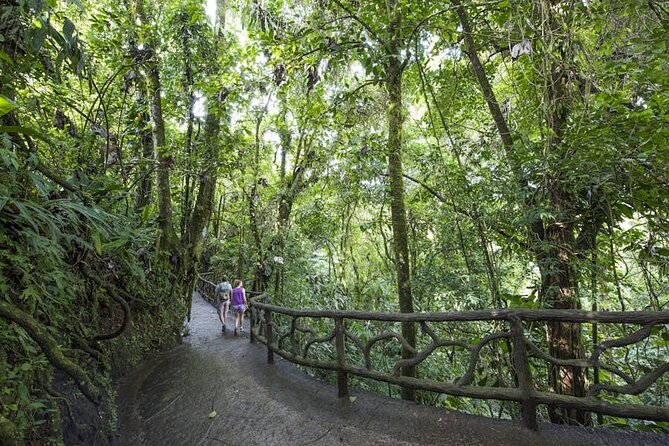 The Mistico Hanging Bridges - Trail Options and Highlights