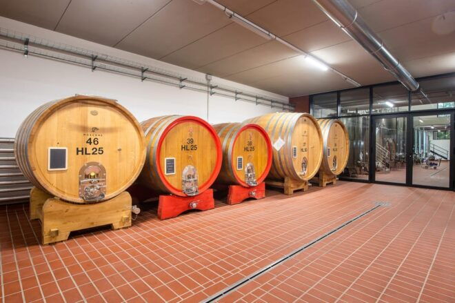 The MONSU: Winetasting in La Morra. - Booking Information