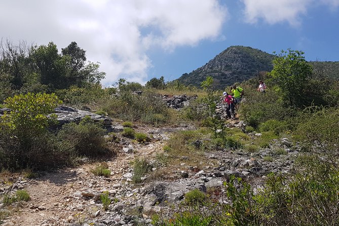 The Morning Hike - Experience Details