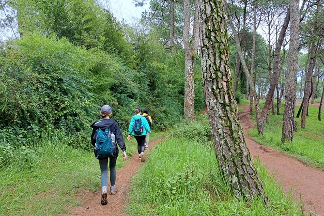 The Most Beautiful 1 Day Experience in Kathmandu Nepal - Pricing and Booking Details