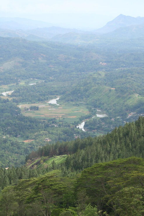 The Most Beautiful Places in Sri Lanka 3 Days Tour - Day 1 Itinerary Highlights
