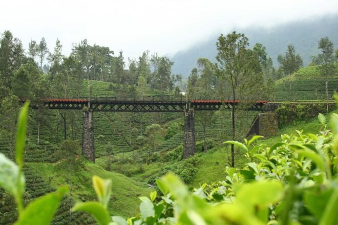 The Most Beautiful Places in Sri Lanka 3 Days Tour - Exploring Kandy