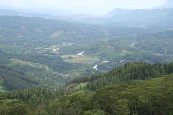The Most Beautiful Places in Sri Lanka 3 Days Tour - Discovering Ella