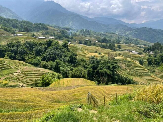 The Most Beautiful View and Authentic Sapa Trek-Non Touristy - Pricing and Reservation Details