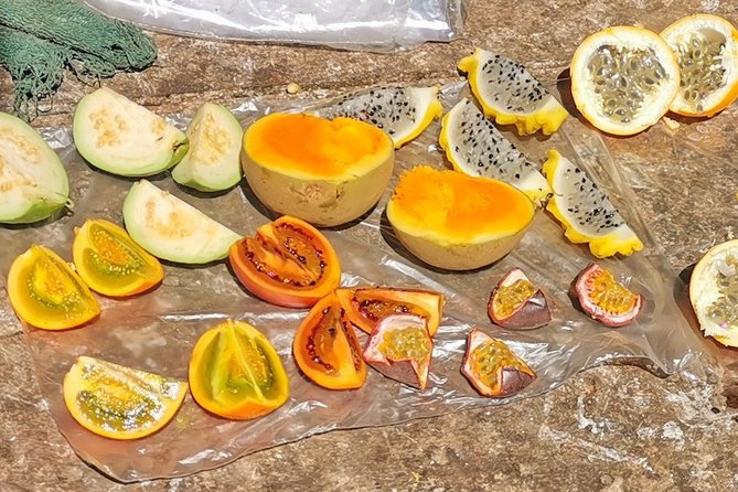 The Most Complete Guatape Rock Private Tour in Medellin - Tour Highlights