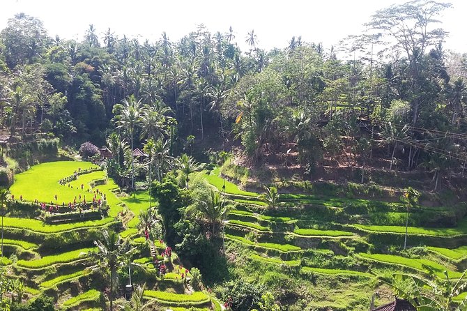 The Most Highlight Bali Tours. - Cultural Immersion