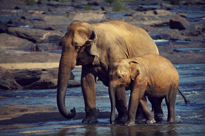 The Most Popular Personalized Round Tour in Sri Lanka-Day Charged - Common Questions
