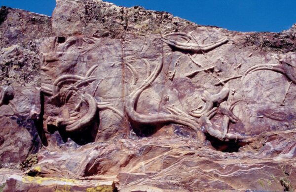 The Most Portuguese Village in Portugal - Tour - Frequently Asked Questions