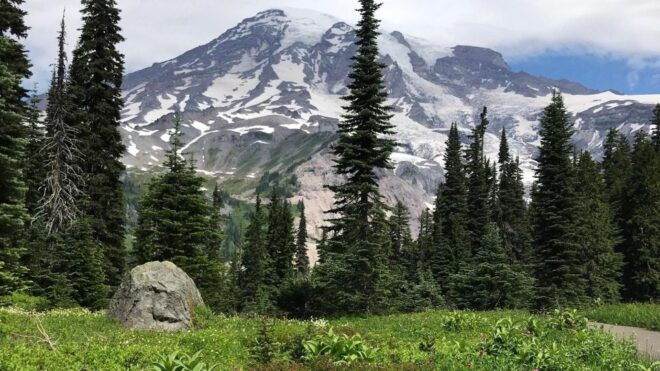 The Mount Rainier Majestic Trails Self-Guided Audio Tour - Meeting Point