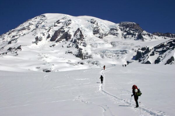 The Mount Rainier Majestic Trails Self-Guided Audio Tour - Booking and Pricing