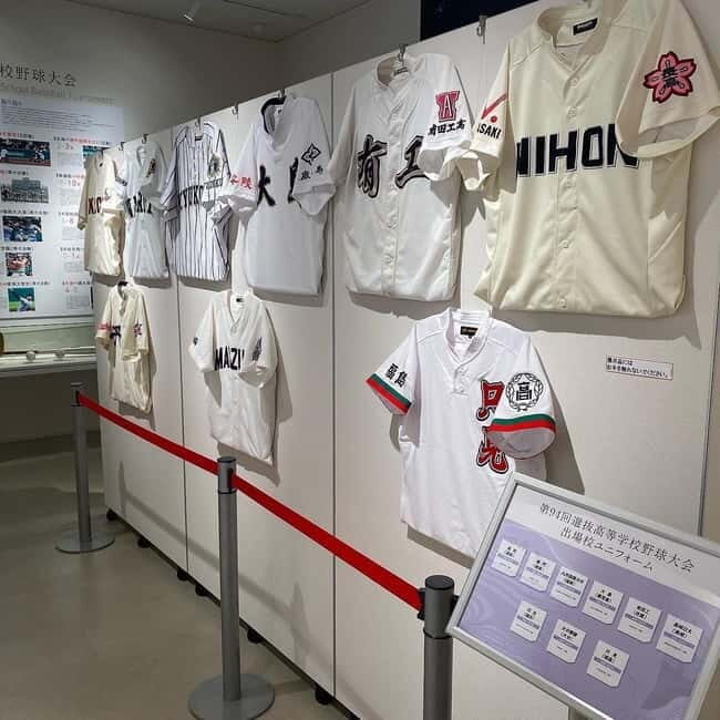 The Museum of Hanshin Koshien Stadium Entry Ticket - Who Should Consider This Tour?