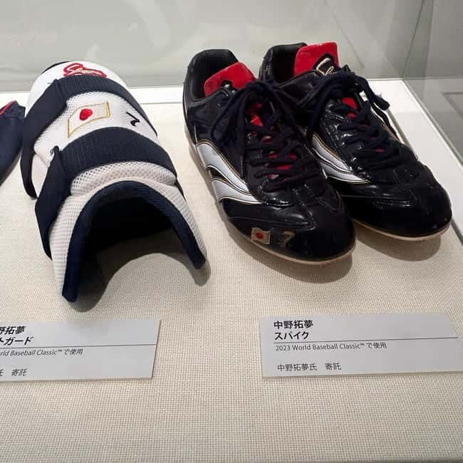 The Museum of Hanshin Koshien Stadium Entry Ticket - Who Should Visit?