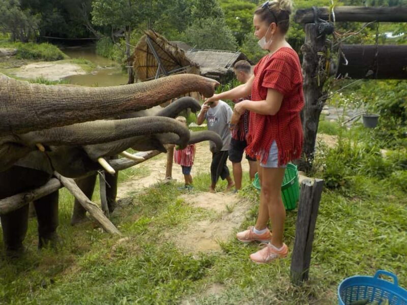 The Must-Do: Authentic Elephant & Village Life in Chiang Mai - FAQ