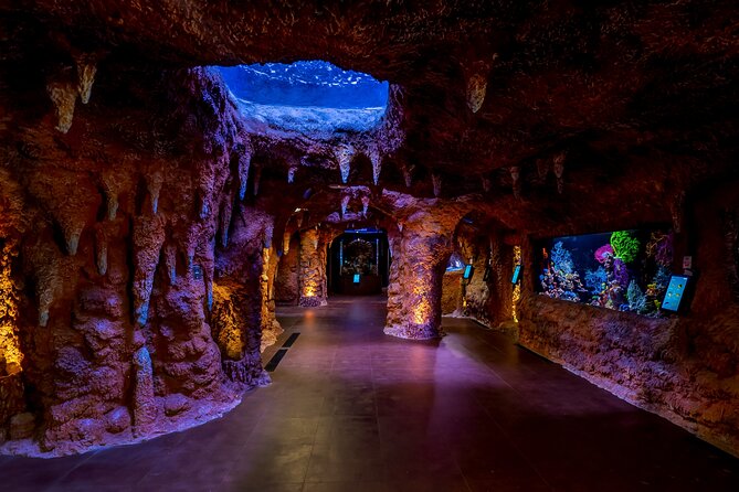 The National Aquarium Abu Dhabi Admission Tickets - Customer Service and Information