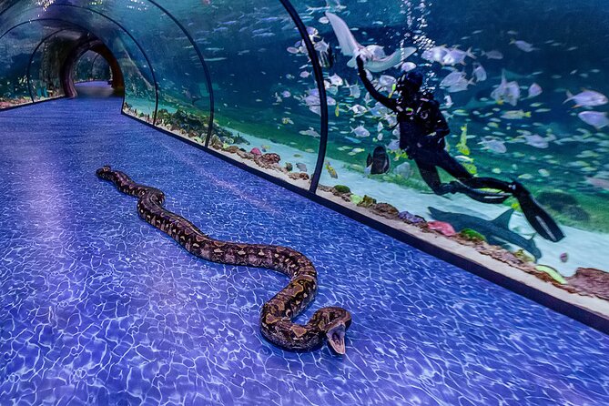 The National Aquarium Abu Dhabi - Inclusions and Exclusions