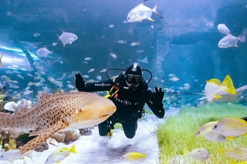The National Aquarium Abu Dhabi Ticket - Ten zones make a varied route
