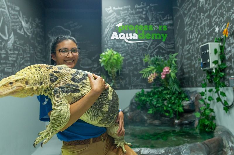 The National Aquarium Abu Dhabi Ticket - Wildlife rescue and the Butterfly Gardens