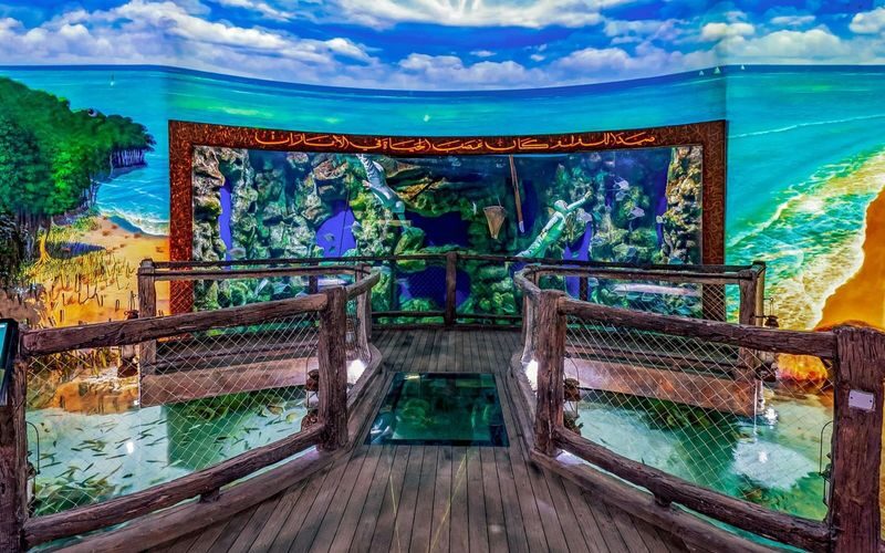 The National Aquarium Abu Dhabi Ticket - How long to allow, and what the visit feels like