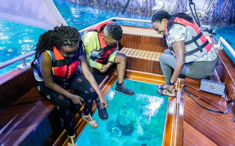 The National Aquarium Abu Dhabi Ticket - Practical details that can save you a fuss