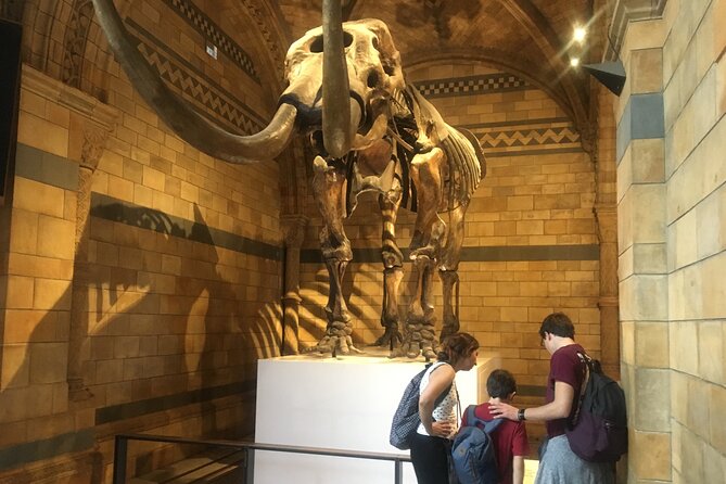 The Natural History Museum Guided Tour in London - Tour Details