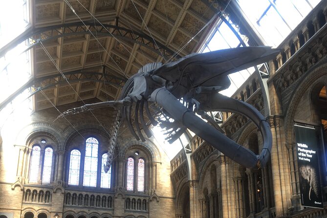 The Natural History Museum Guided Tour in London - Questions and Additional Information