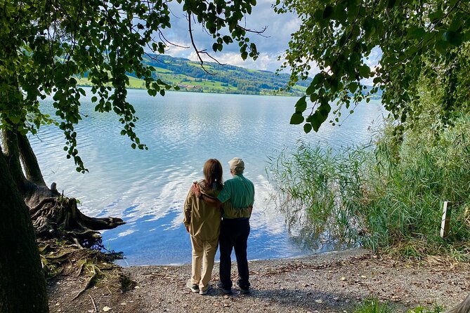 The Natural Wonders of Switzerland: Private Tour From Lucerne (1 Day) - Private Tour Operator and Confirmation Process