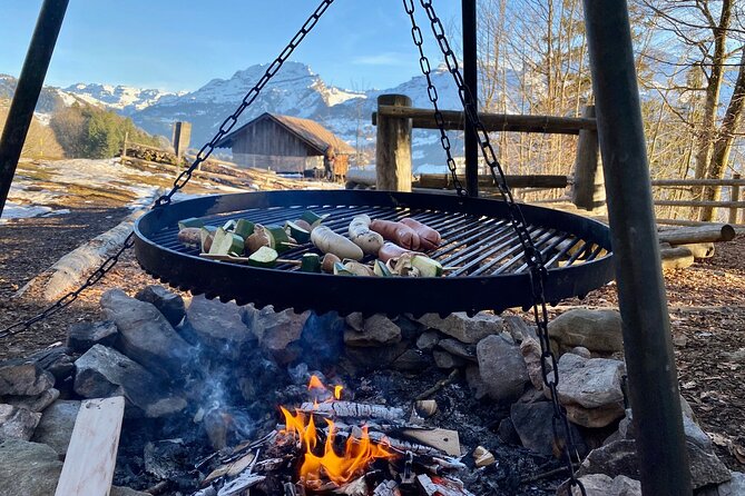 The Natural Wonders of Switzerland: Private Tour From Lucerne (1 Day) - Cancellation Policy and Weather Contingency