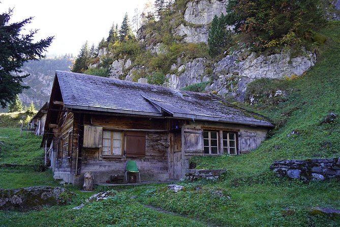 The Natural Wonders of Switzerland: Private Tour From Zug (1 Day) - The Enchanting Swiss Countryside: Lush Meadows and Charming Villages