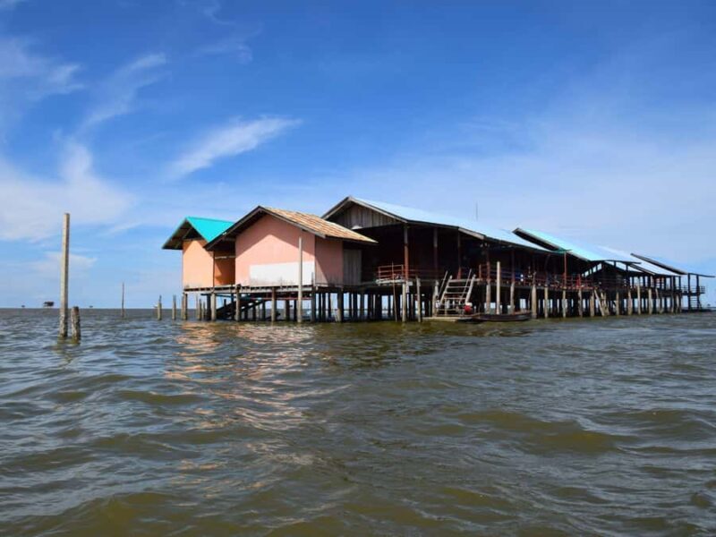 The Nature BKK: Boat to Mangrove & Train to Maeklong Market - A Thorough Breakdown of the Experience