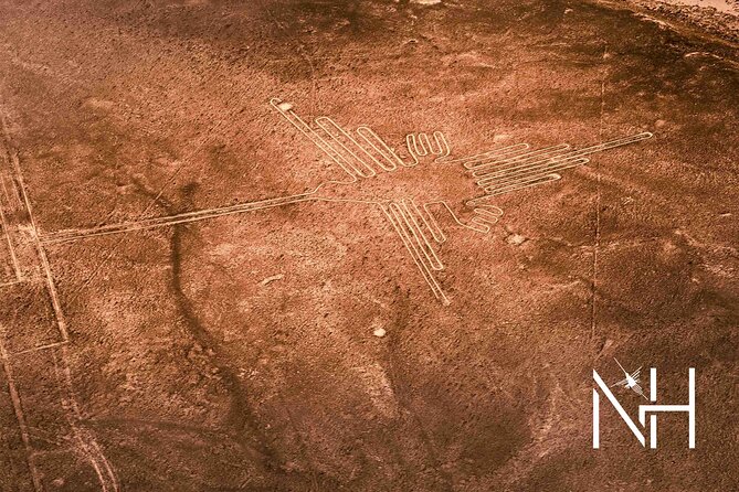 The Nazca Lines Flight From Pisco Airport & Huacachina Oasis - Itinerary Highlights