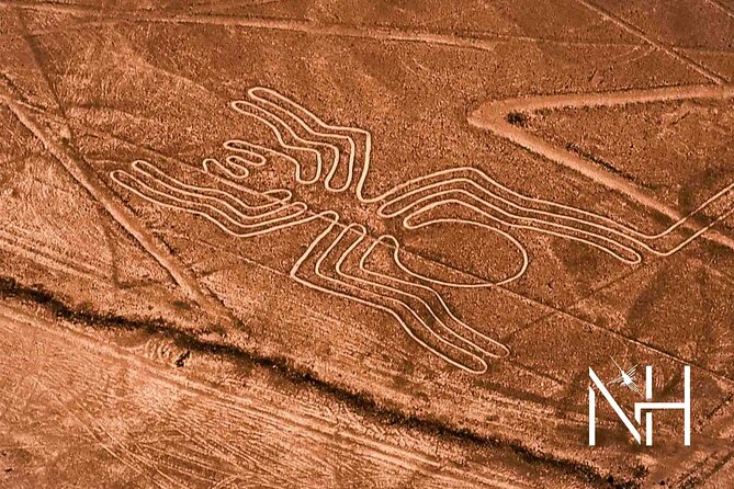 The Nazca Lines Flight From Pisco Airport & Huacachina Oasis - Transportation Details