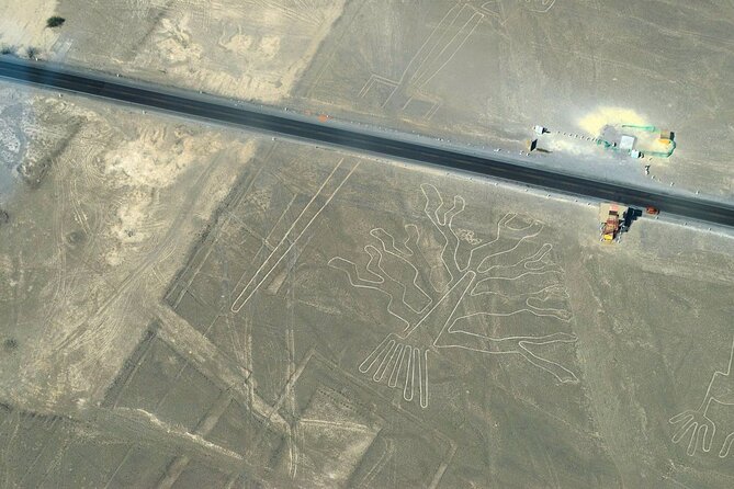 The Nazca Lines Flight Tour & Huacachina Oasis - Private - Small-Group Day Tour Details