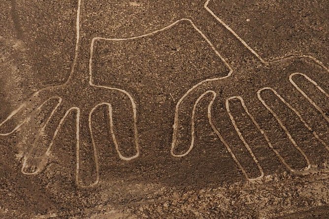 The Nazca Lines, Huacachina Oasis & Dune Buggy - Private - Traveler Photos