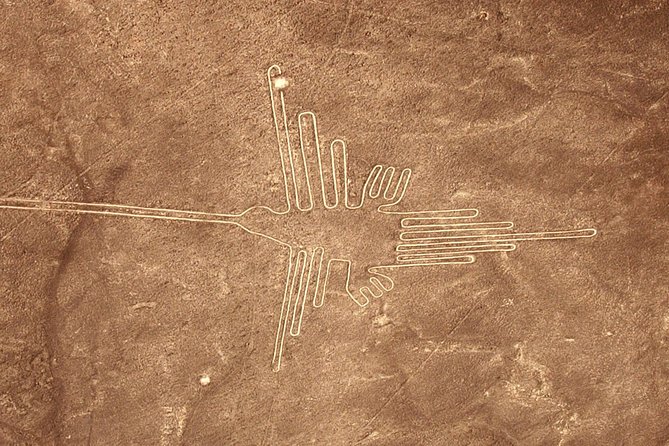 The Nazca Lines & Huacachina Oasis From Lima - Private - Additional Information